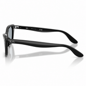 RB 2299 LADYBURBANK 901/R5